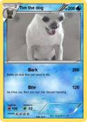 Tim the dog