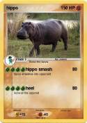 hippo