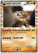 DERP MASTER