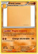 Grand cahier
