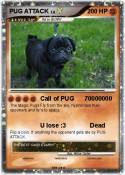 PUG ATTACK