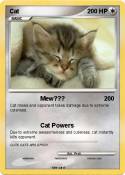 Cat