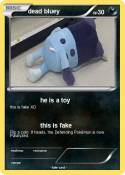 dead bluey