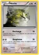 colorcat (shyni
