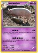 corocochon