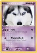 Echo