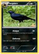 Pergolero