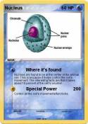 Nucleus