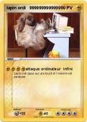 lapin ordi