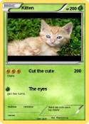 Kitten