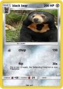 black bear