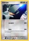 destroyer