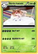 Burrito Hamster