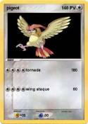 pigeot
