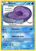 Nucleus