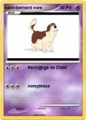 saint-bernard