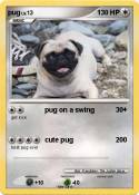 pug