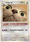 Funny cat