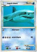 requin blanc