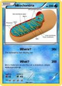 Mitochondria