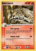 flame lepord