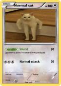 Normal cat
