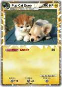 Pup Cat Dueo