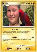 fat bird