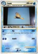 hawk