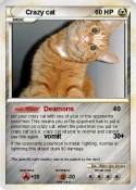Crazy cat
