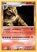 chat