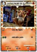 cochon karaté