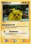 Pikachu cat