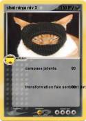 chat ninja niv
