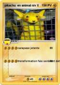 pikachu en anim