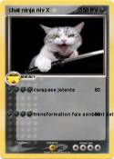 chat ninja niv
