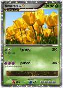 flawers,s