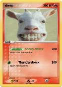 sheep