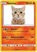 Babykatze