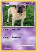 mastiff