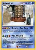 Nuthatch