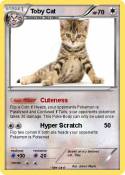 Toby Cat