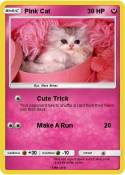 Pink Cat