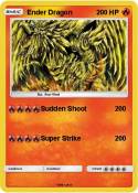 Ender Dragon