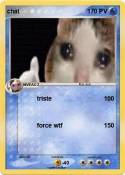 chat