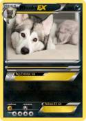 husky