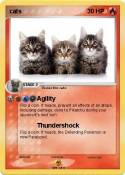 cats