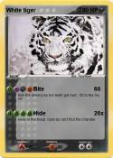 White tiger