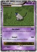 wierd cat