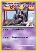 skye terrier